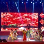 da_nang_expats_got_talent_psbe_ujhs